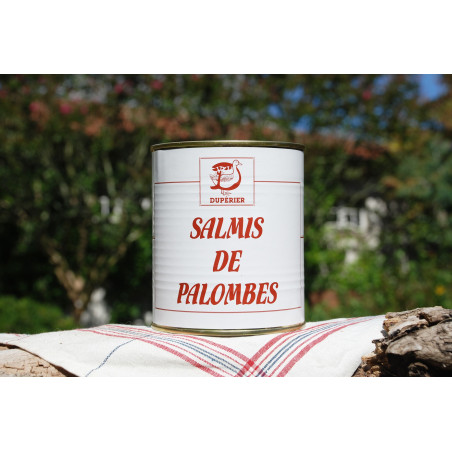 SALMIS DE PALOMBES